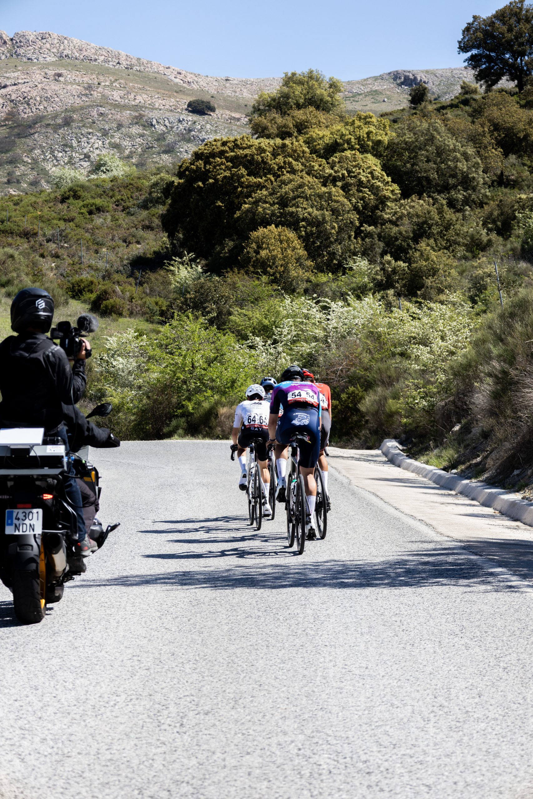 Ciclistas durante La Clásica de Torredonjimeno